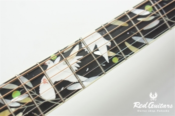 LTD2020 -Peace-